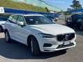 Volvo XC60 2.0 d4 Business Blanco - thumbnail 4