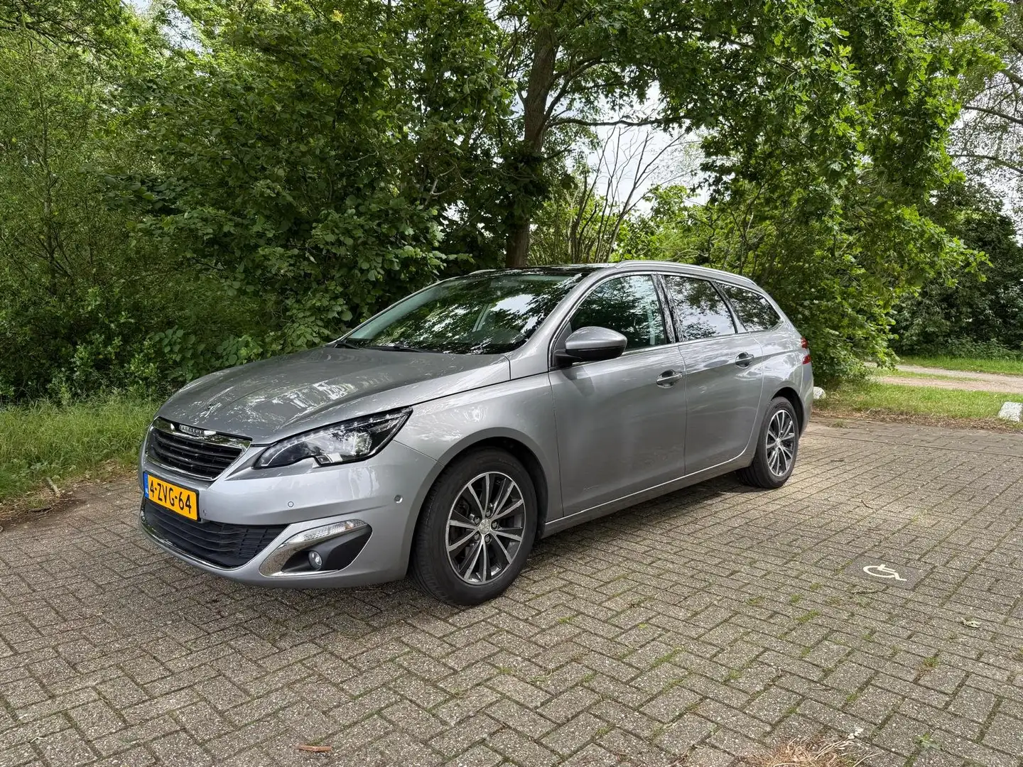 Peugeot 308 308 1.2 PureT.Blue L. Pr Zilver - 1