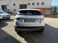Land Rover Range Rover Evoque Range Rover Evoque 5p 2.2 td4 Pure 150cv Bianco - thumbnail 5