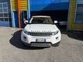 Land Rover Range Rover Evoque Range Rover Evoque 5p 2.2 td4 Pure 150cv Bianco - thumbnail 2