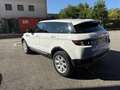 Land Rover Range Rover Evoque Range Rover Evoque 5p 2.2 td4 Pure 150cv Bianco - thumbnail 6