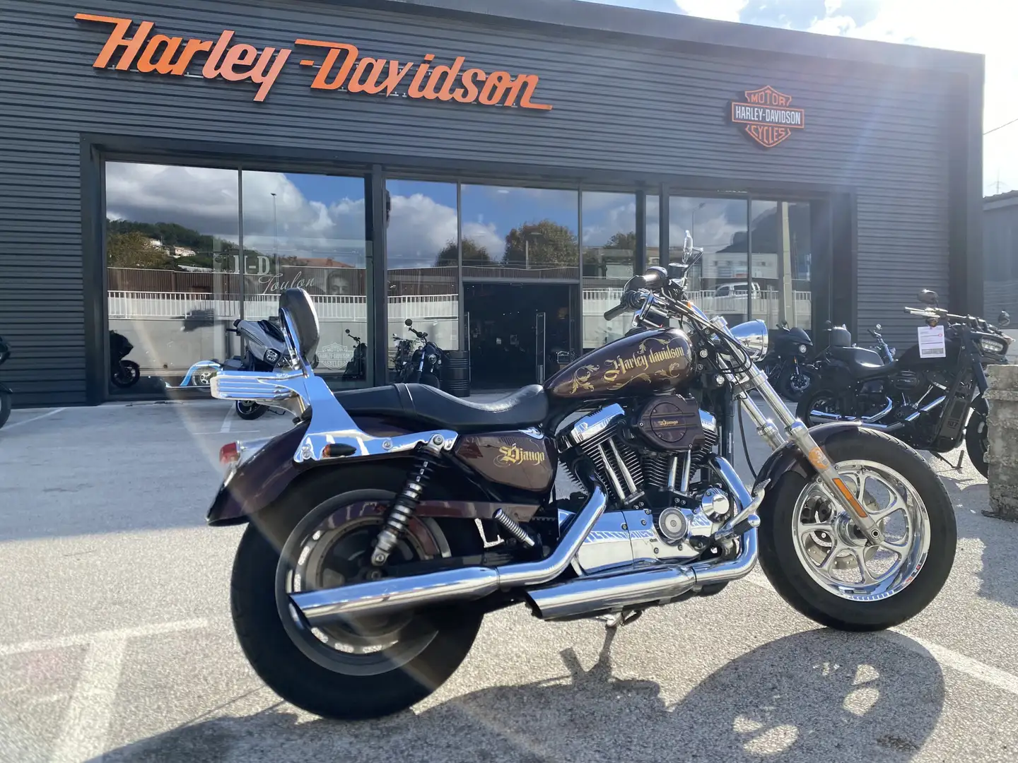 Harley-Davidson Sportster 1200 Rouge - 1