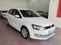 Volkswagen Polo 1.6TDI Advance 90 Blanco - thumbnail 2