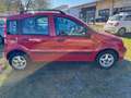 Fiat Panda Panda II 2003 1.2 Dynamic eco Rouge - thumbnail 4
