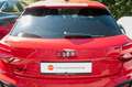 Audi SQ2 TFSI 221(300) kW(PS) S tronic Rojo - thumbnail 16