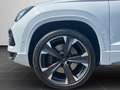 CUPRA Ateca 2.0 TSI VZ 4Drive OPF Navi, DCC, Top View, Weiß - thumbnail 8