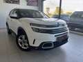 Citroen C5 Aircross BlueHDi S&S Live 130 Weiß - thumbnail 1