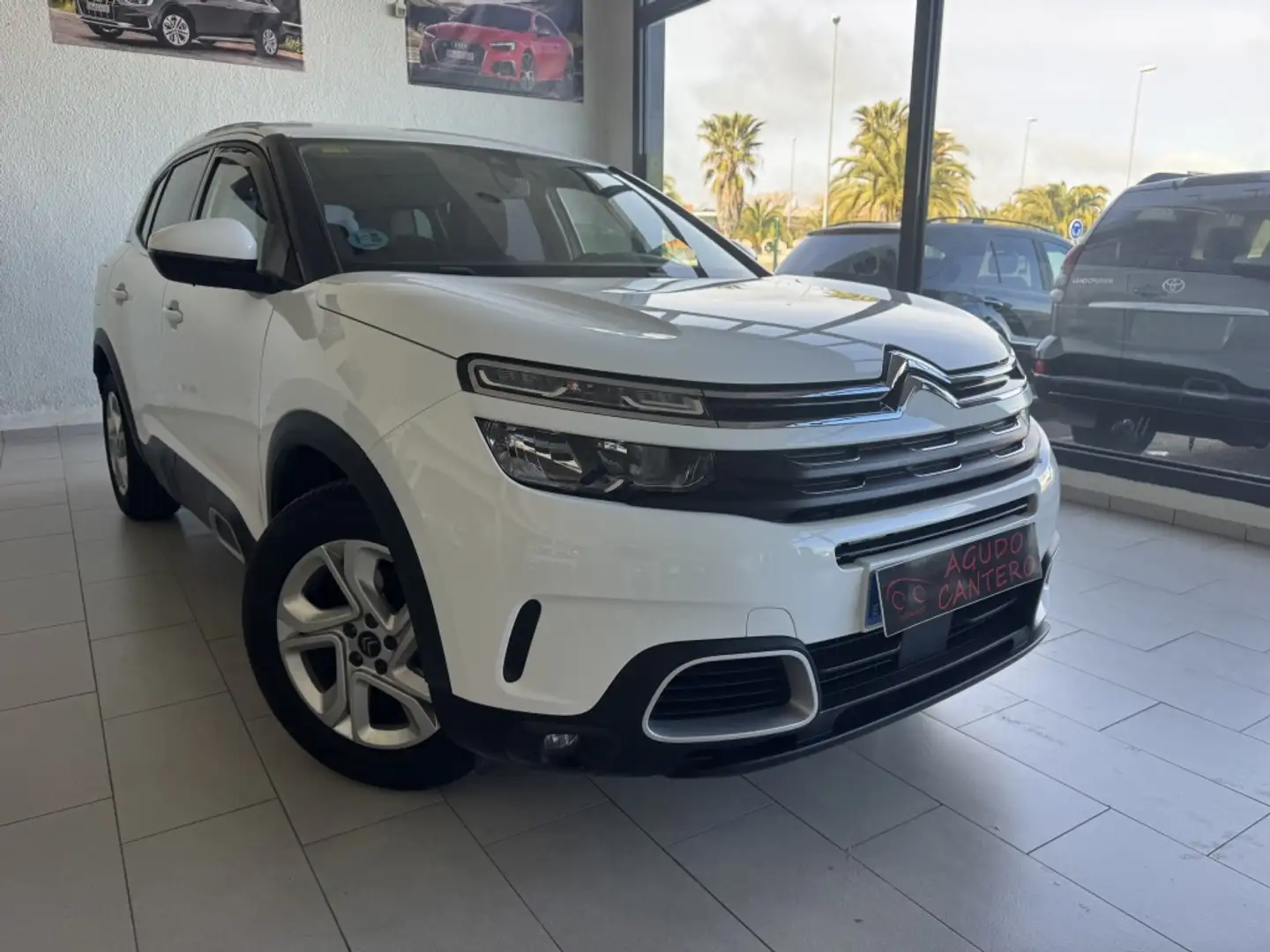 Citroen C5 Aircross BlueHDi S&S Live 130 Weiß - 1