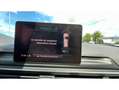 Audi A4 Business 2.0 TDI Ultra 150cv S-tronic Gris - thumbnail 10
