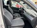 SEAT Arona 1.0 TSI Ecomotive S&S Style DSG7 110 Blanco - thumbnail 8