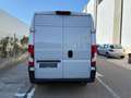 Fiat Ducato Fg. 33 2.3Mjt L3 H2 120CV Blanco - thumbnail 5