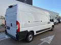 Fiat Ducato Fg. 33 2.3Mjt L3 H2 120CV Blanco - thumbnail 4