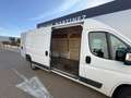 Fiat Ducato Fg. 33 2.3Mjt L3 H2 120CV Blanco - thumbnail 13