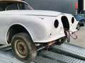 Jaguar MK II Blanco - thumbnail 6