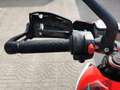 MV Agusta Stradale 800 ABS * - RATE AUTO MOTO SCOOTER Kırmızı - thumbnail 9