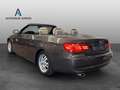 BMW 320 i CABRIOLET/ RENTNER /NUR46.tKM/ AUTOMATIK/ Gold - thumbnail 3
