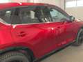 Mazda CX-5 CX-5 2.5 SKYACTIV-G Mild-Hybrid Homura AWD Rot - thumbnail 7