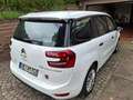 Citroen C4 SpaceTourer C4 Spacetourer  PureTech 130 Stop Blanco - thumbnail 16