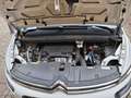 Citroen C4 SpaceTourer C4 Spacetourer  PureTech 130 Stop Blanco - thumbnail 19