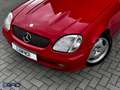 Mercedes-Benz SLK 200 K. Cabrio| Dealer onder|Cruise|Leder|Stoelverwarmi Rot - thumbnail 17