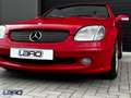Mercedes-Benz SLK 200 K. Cabrio| Dealer onder|Cruise|Leder|Stoelverwarmi Czerwony - thumbnail 19