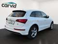 Audi Q5 2.0 TDI 130 kW quattro | S line Sport / Plus | AHK Weiß - thumbnail 3
