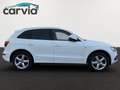 Audi Q5 2.0 TDI 130 kW quattro | S line Sport / Plus | AHK Weiß - thumbnail 5