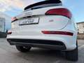 Audi Q5 2.0 TDI 130 kW quattro | S line Sport / Plus | AHK Weiß - thumbnail 11
