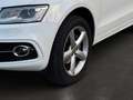 Audi Q5 2.0 TDI 130 kW quattro | S line Sport / Plus | AHK Weiß - thumbnail 10