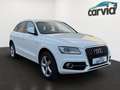 Audi Q5 2.0 TDI 130 kW quattro | S line Sport / Plus | AHK Weiß - thumbnail 2