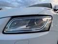 Audi Q5 2.0 TDI 130 kW quattro | S line Sport / Plus | AHK Weiß - thumbnail 9