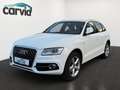 Audi Q5 2.0 TDI 130 kW quattro | S line Sport / Plus | AHK Weiß - thumbnail 1
