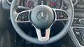 Mercedes-Benz Citan 110 CDI 70kW Tourer Base Largo Plateado - thumbnail 24