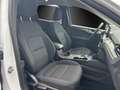 Ford Kuga 2.5 Plug-in-Hybrid PHEV Titanium,AHK,Navi Blanc - thumbnail 9
