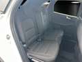 Ford Kuga 2.5 Plug-in-Hybrid PHEV Titanium,AHK,Navi Blanc - thumbnail 10