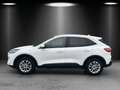 Ford Kuga 2.5 Plug-in-Hybrid PHEV Titanium,AHK,Navi Blanc - thumbnail 4