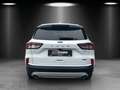 Ford Kuga 2.5 Plug-in-Hybrid PHEV Titanium,AHK,Navi Blanc - thumbnail 6