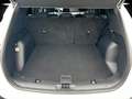 Ford Kuga 2.5 Plug-in-Hybrid PHEV Titanium,AHK,Navi Blanc - thumbnail 7