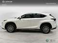 Lexus NX 200t SUV BUSINESS 2.5 Híbrido Gasolina (197CV) Transmi Blanco - thumbnail 3