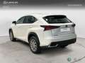 Lexus NX 200t SUV BUSINESS 2.5 Híbrido Gasolina (197CV) Transmi Blanco - thumbnail 2