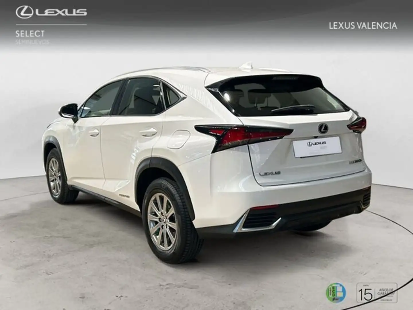 Lexus NX 200t SUV BUSINESS 2.5 Híbrido Gasolina (197CV) Transmi Blanco - 2