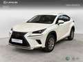 Lexus NX 200t SUV BUSINESS 2.5 Híbrido Gasolina (197CV) Transmi Blanco - thumbnail 1