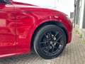 Alfa Romeo Stelvio Stelvio Veloce Q4 280cv auto 2.0 Benzina Rosso - thumbnail 5