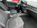 Ford Focus ST LINE Rot - thumbnail 10