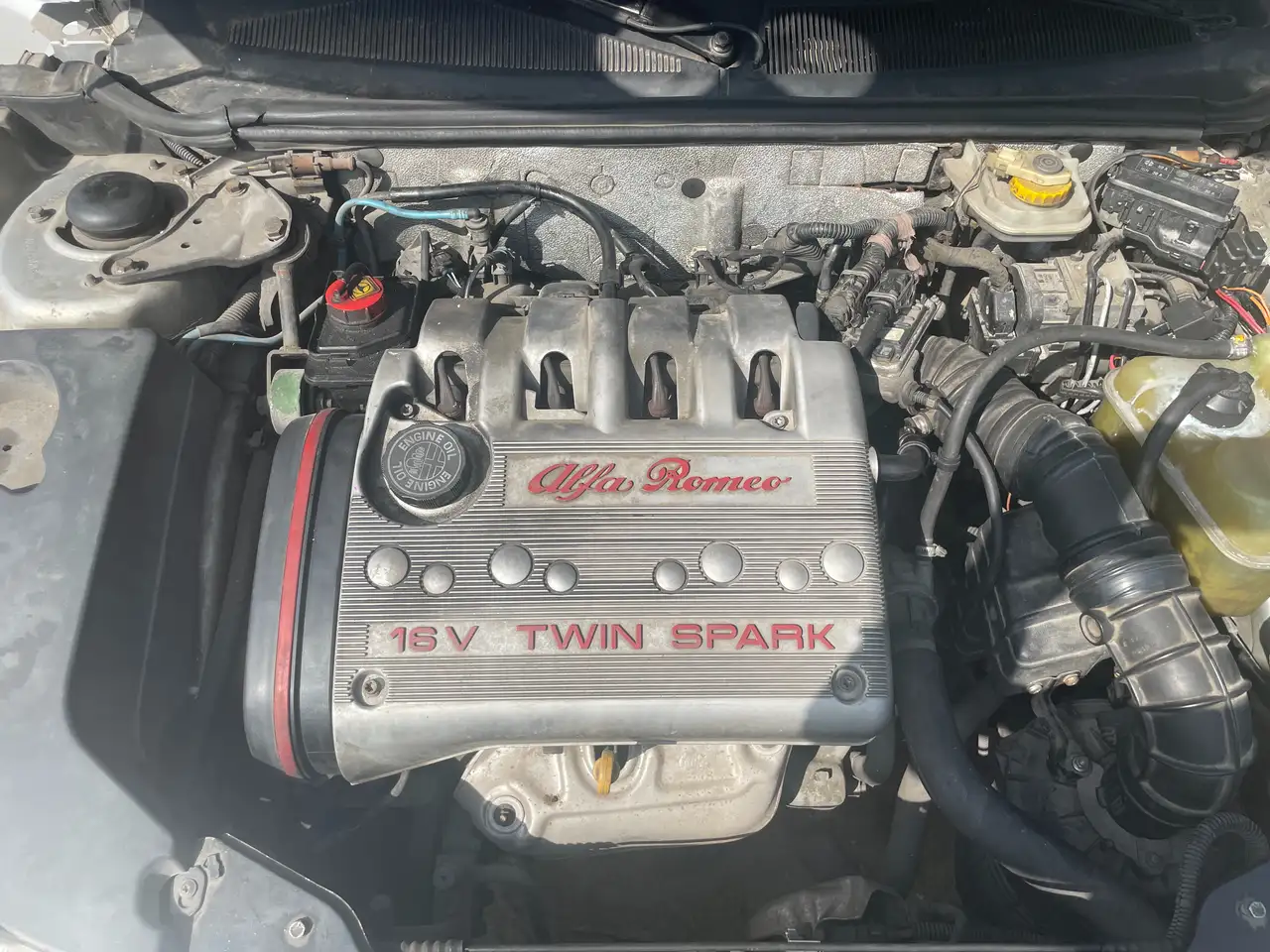 Alfa Romeo Spider red style red stile, foto 4