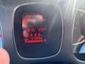 Fiat Panda 1.0hybrid CityLife UNIPRO/PRONTA CONSEGNA/PERFETTA Blau - thumbnail 7
