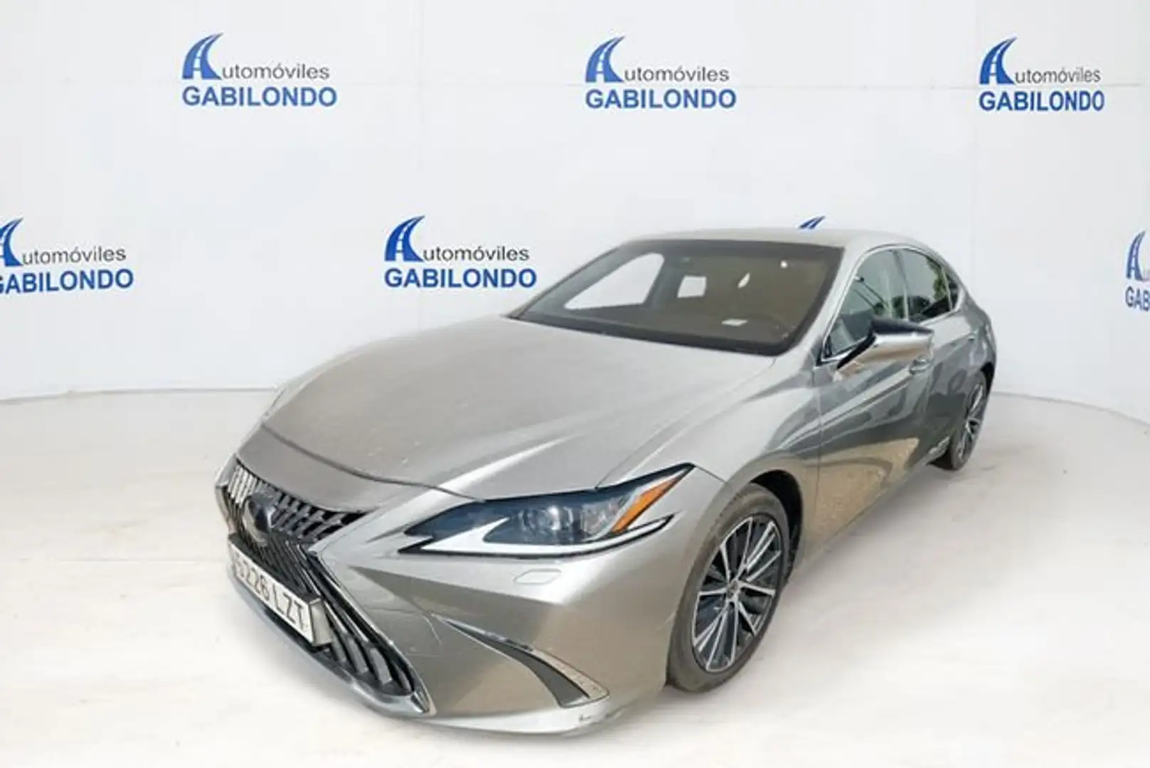 Lexus ES 300 2.5 300h Premium Gris - 1