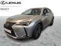 Lexus UX 250h Business Line Gris - thumbnail 1