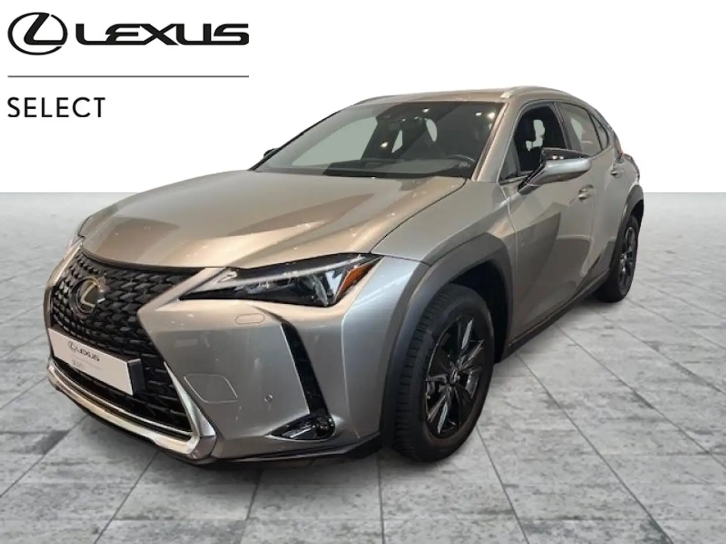 Lexus UX 250h Business Line Gris - 1