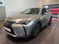 Lexus UX 250h Business Line Grijs - thumbnail 1